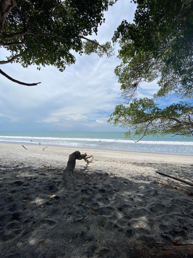 A Piece Of Paradise Сан-Карлос Экстерьер фото