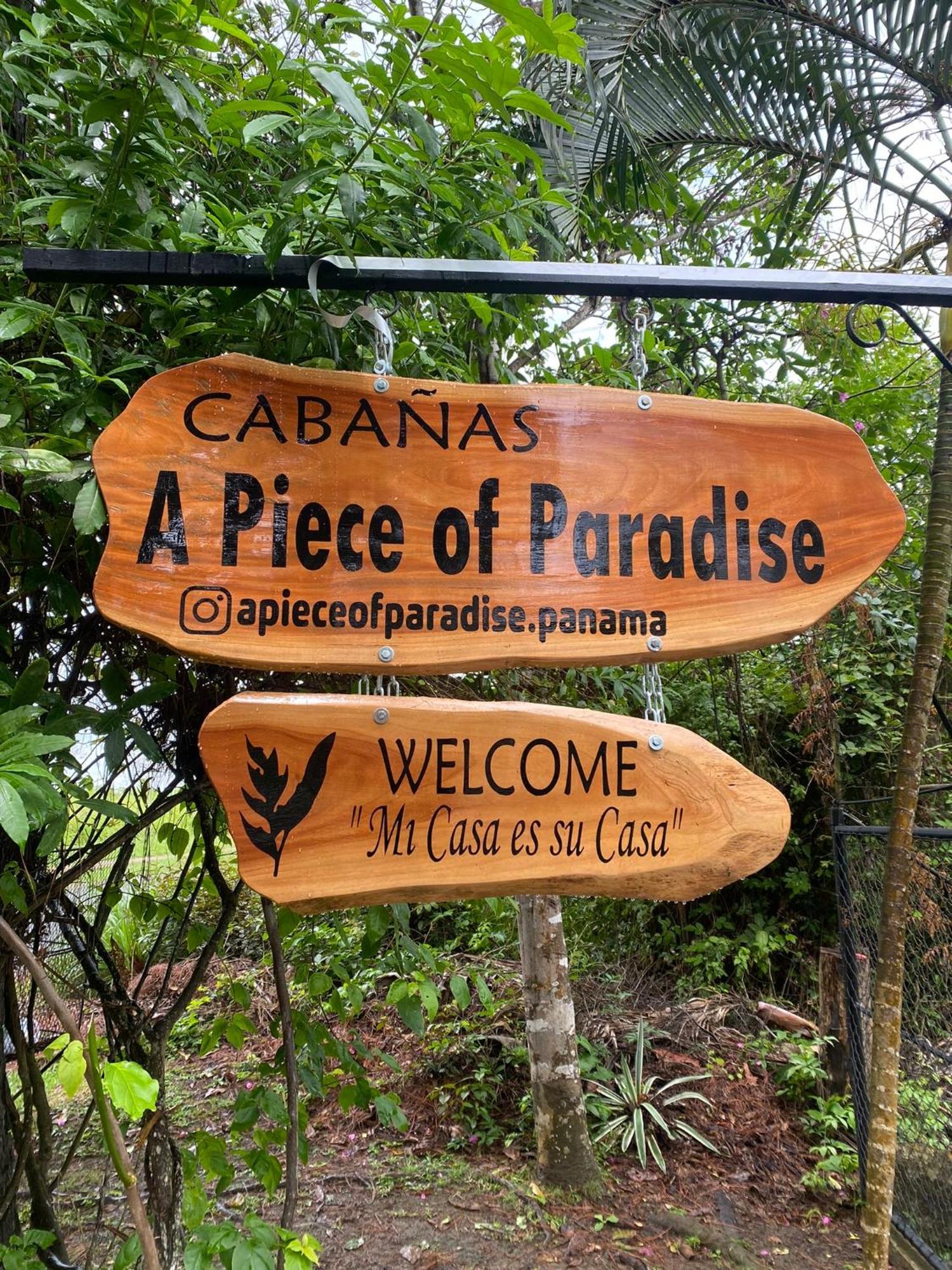 A Piece Of Paradise Сан-Карлос Экстерьер фото
